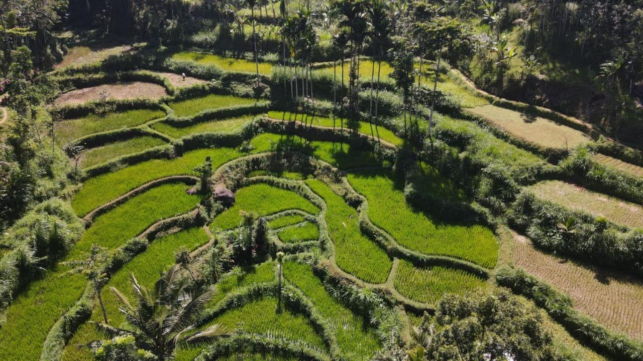 My Home 特特巴图 外观 照片