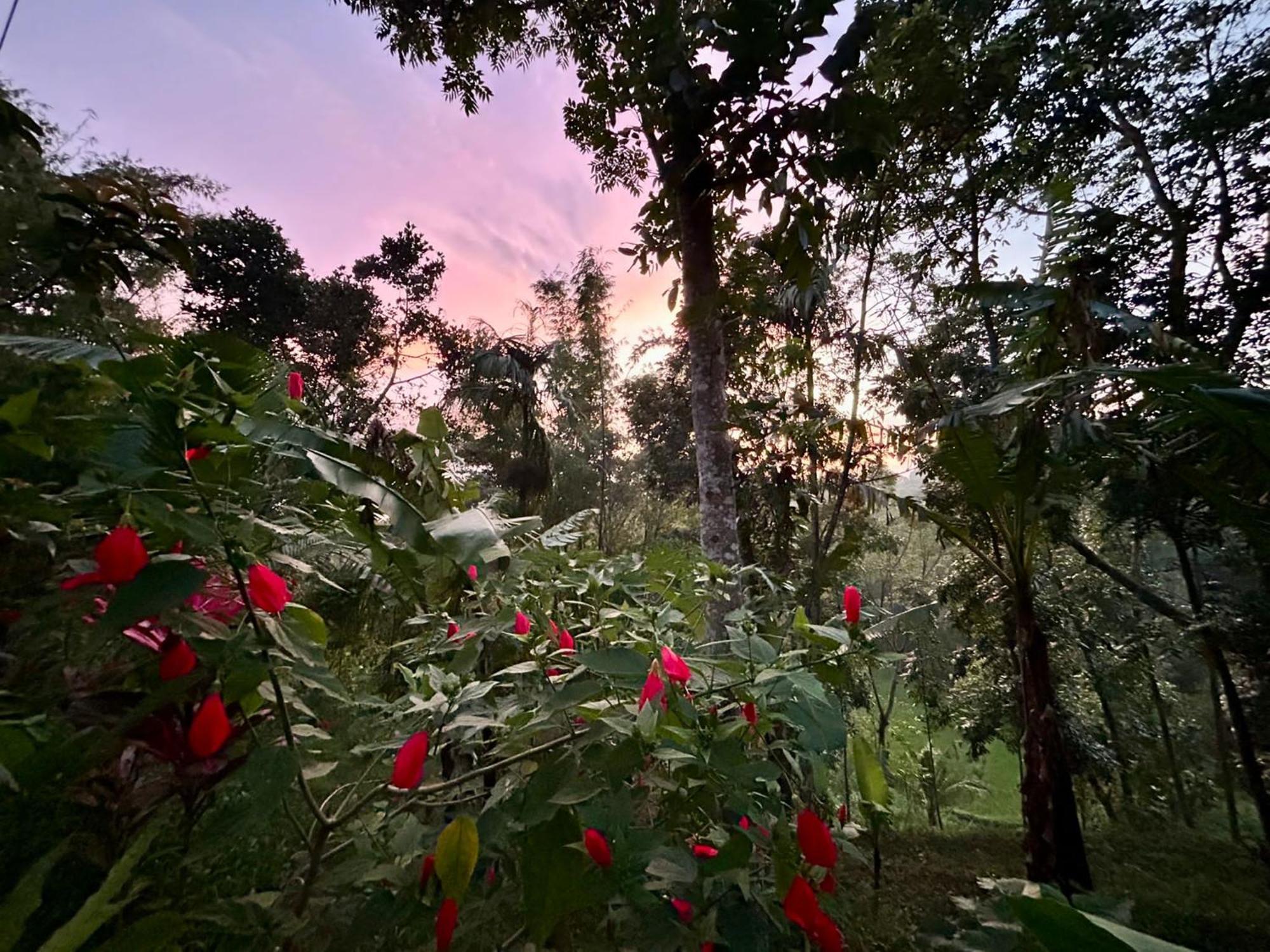 My Home 特特巴图 外观 照片